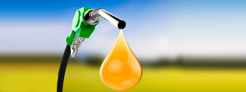 biodiesel fuel pump